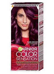 Garnier Color Sensation 3.16